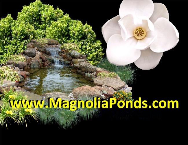 Magnolia Ponds, Landscaping, and Water Gardens, The Woodlands, Spring